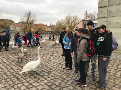 Praha - na břehu Vltavy