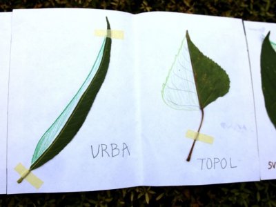 3. KROK: TVORBA LEPORELA