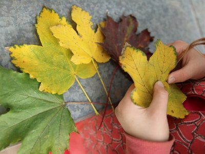 1. KROK: HLEDÁNÍ A SBÍRÁNÍ LISTÍ